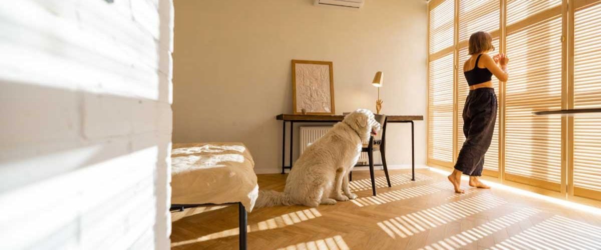 Window Treatments for Pet Owners