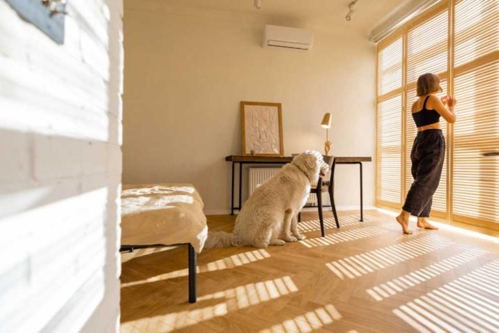 Window Treatments for Pet Owners