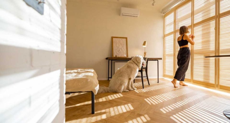 Window Treatments for Pet Owners